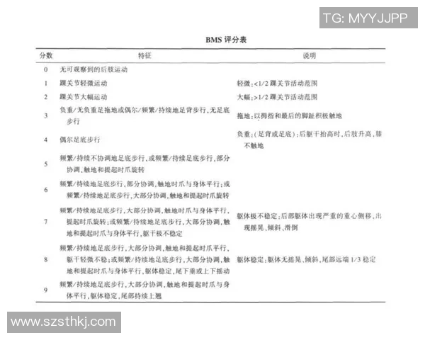 北京足球队在挑战赛中的速度表现分析与点评